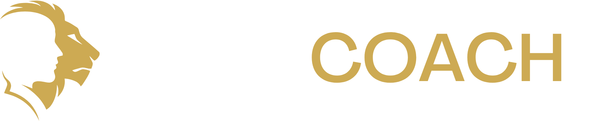NEGOCOACH — Business Coaching